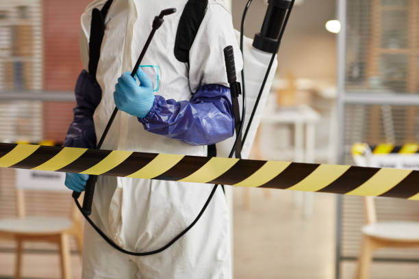 Professional Unattended Death Cleanup technician working in Naples, UT